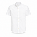 Custom Fit Oxford Shirt