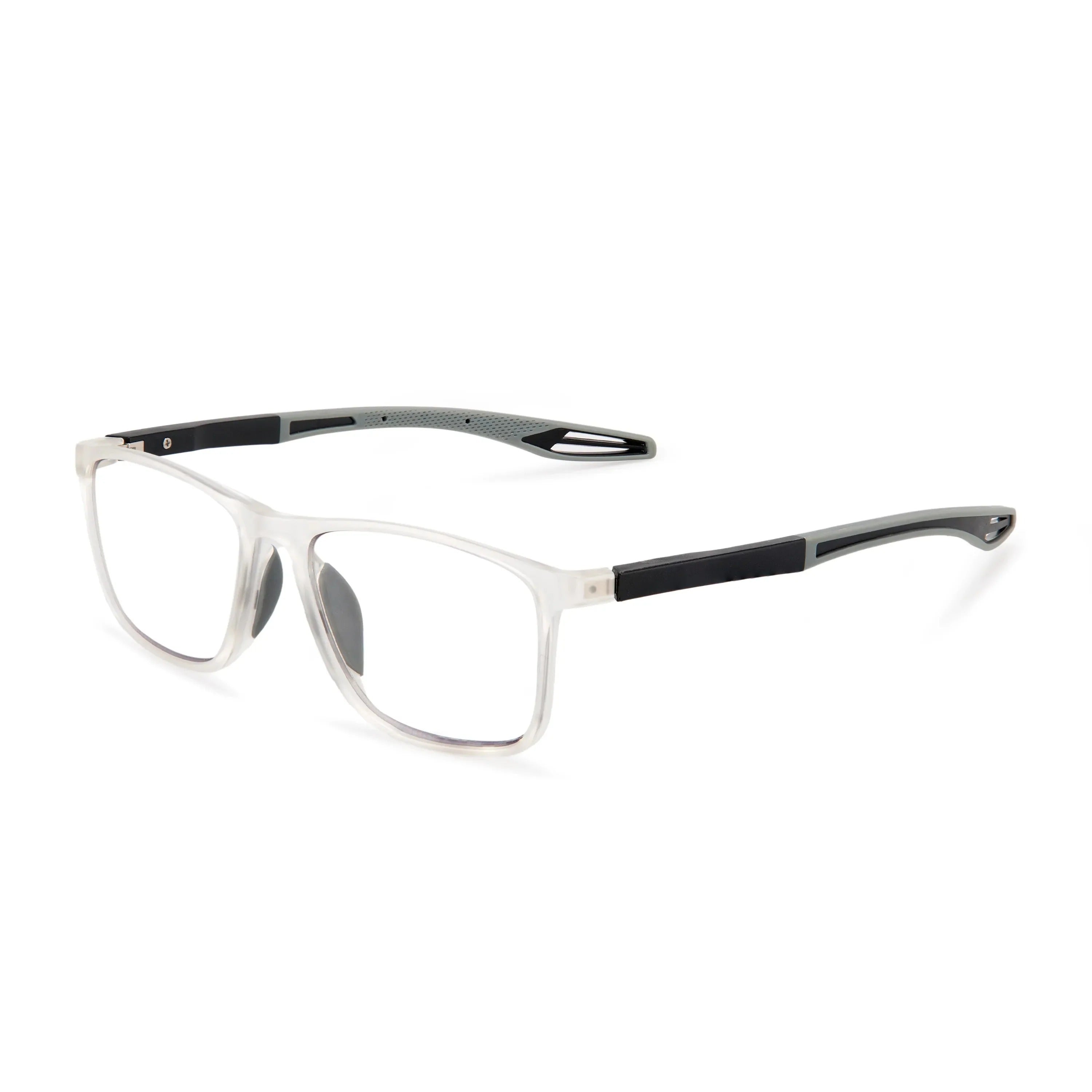 VisionLens